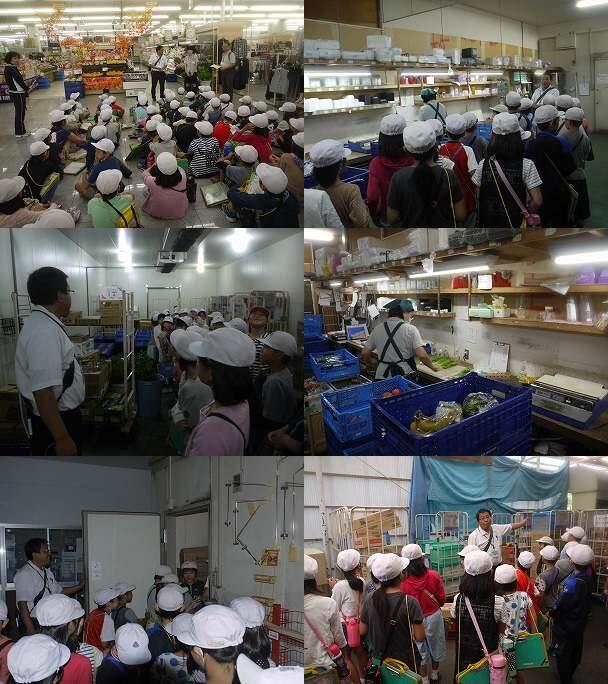 ３年社会科見学