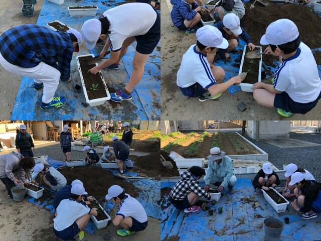 植え付け作業（４年）