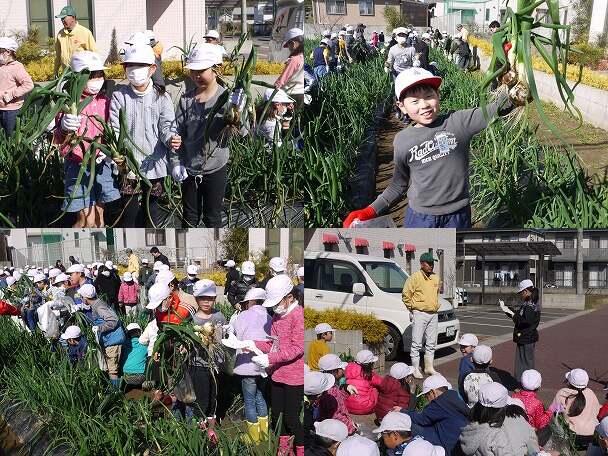 空飛ぶ新玉ねぎ収穫 空飛ぶ新玉ねぎ収穫