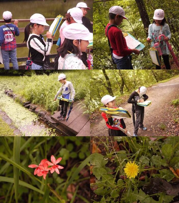 金堂ヶ池探索（４年生）