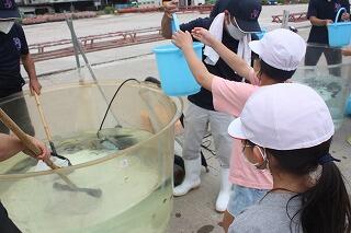 そっと運びます。