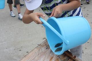 やさしく放します。