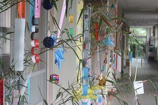 できあがった七夕飾り