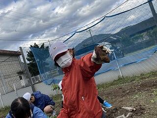 いもほりのようす