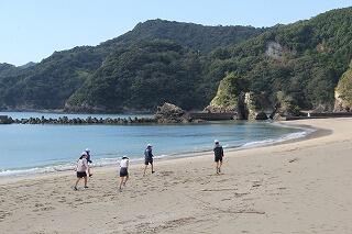 アップのようす