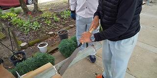 門松作りのようす