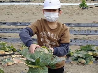 収穫体験のようす