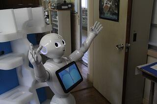 ペッパーくんとラジオ体操