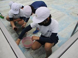 プールそうじのようす