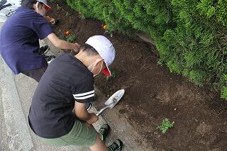 花の苗植えのようす　
