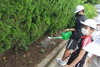 花の名植えのようす