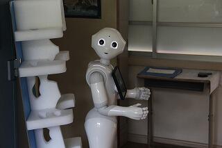 ペッパーくんのようす