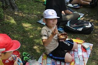 お弁当のようす