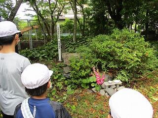 南浦古墳群跡のようす