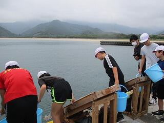 放流活動のようす