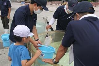 稚魚の放流活動のようす