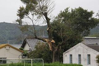 作業後のようす