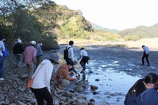 観測会のようす