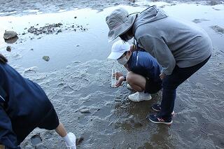 観測会のようす