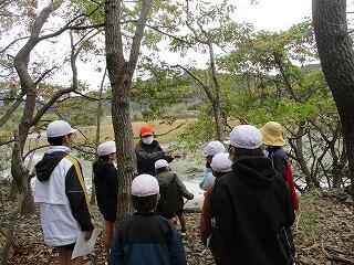 観察会のようす