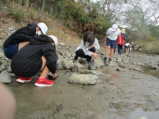 観察会のようす