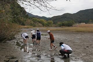 観察会のようす