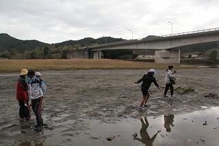 観察会のようす