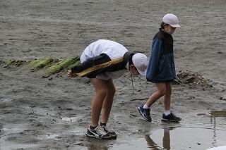 観察会のようす