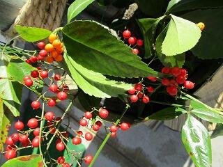 門松作りのようす