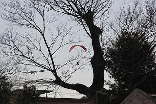 パラグライダーのようす