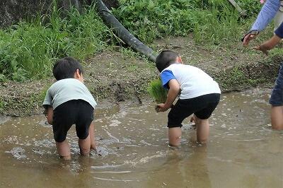みごとな、お手植え!!