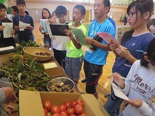 交流給食会の画像