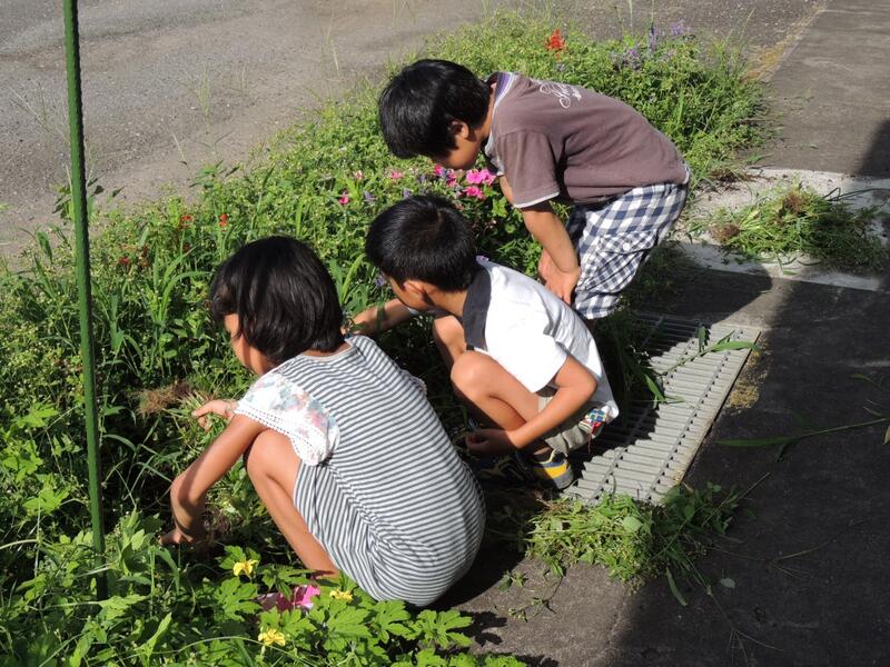 ボランティア２