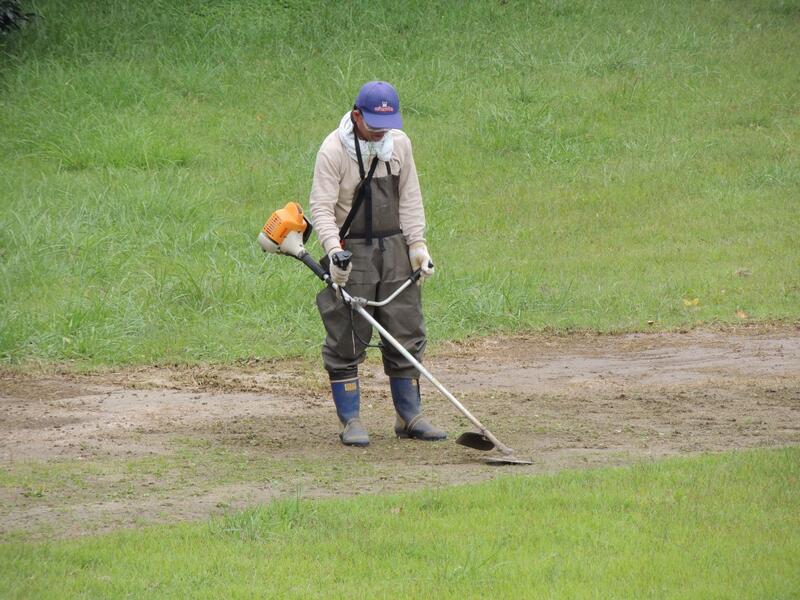 除草
