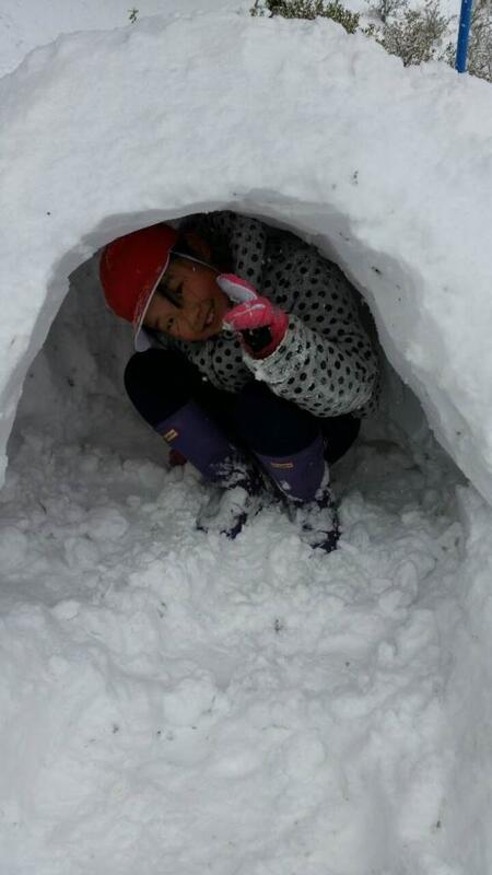 かまくら かまくら