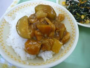 夏野菜カレー