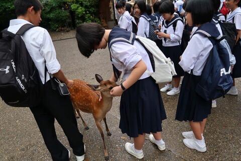 奈良公園から東大寺へ