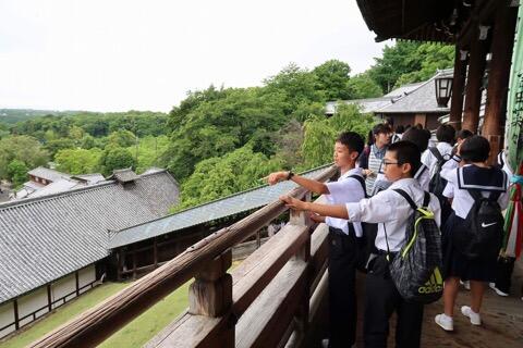 奈良公園から東大寺へ