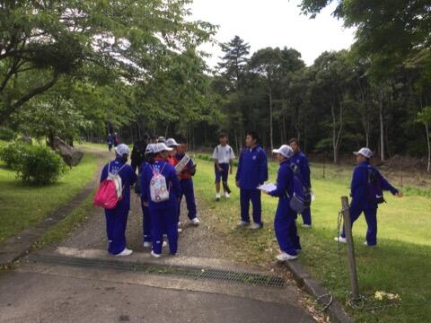 フォトアドベンチャー