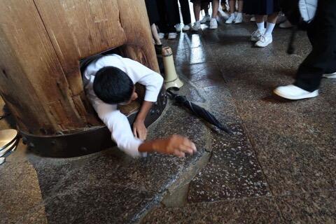 奈良公園から東大寺へ