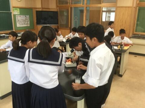 理科の授業のようす