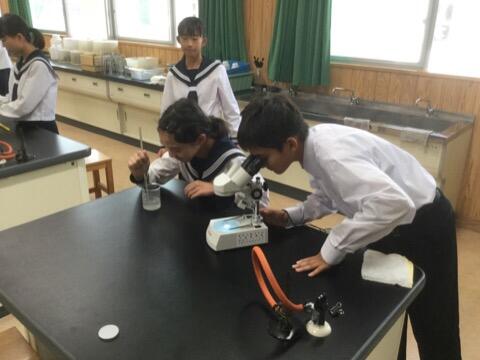 理科の授業のようす