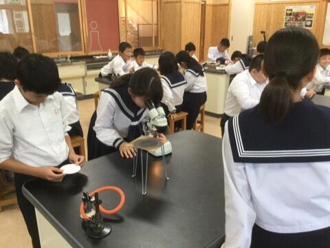 理科の授業のようす