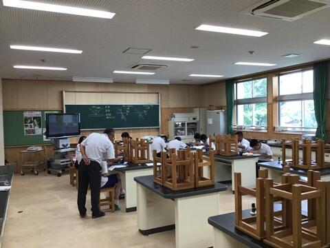 サマースクール