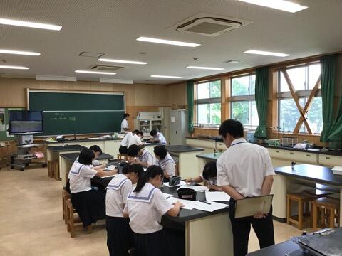 サマースクール