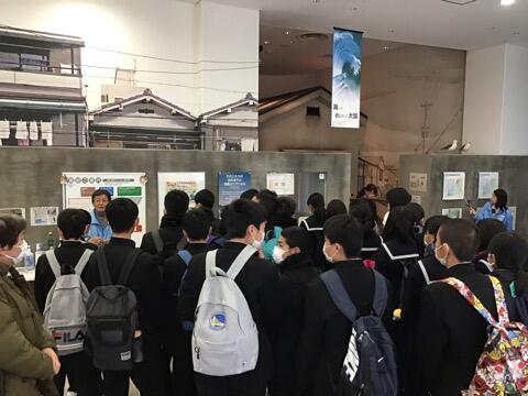 津波高潮ステーション