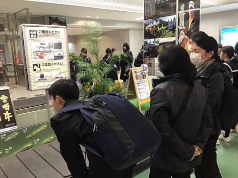 手荷物受け取り中