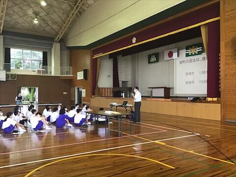 綾の昆虫についての講話と実習