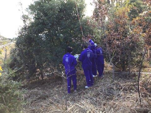 イオンの森調査学習のようす