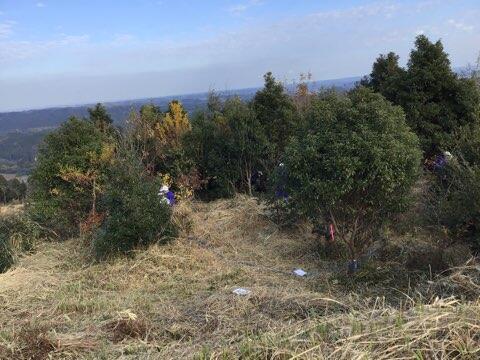 イオンの森調査学習のようす